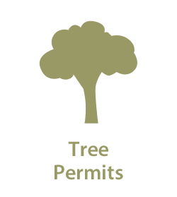 Tree Permits